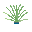 Aloe plant.png