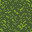 Grass (turf).png